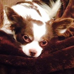 Meet your Posher, Andrea